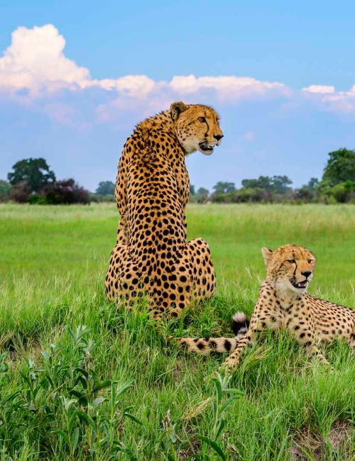 Serengeti National Park